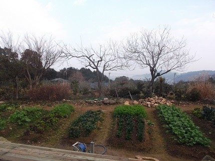 f:id:fujiwarakominka:20220128220417j:plain
