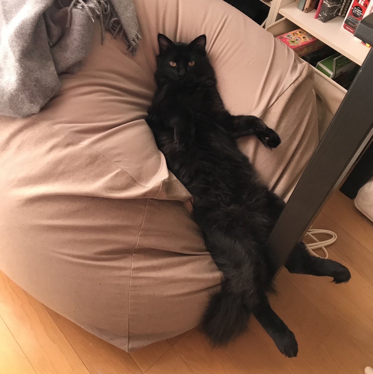 f:id:fujiwaram:20190305104227j:plain