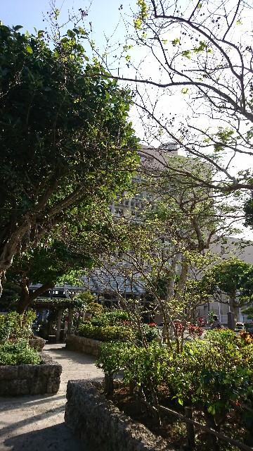 f:id:fujiyo311:20200311163628j:image