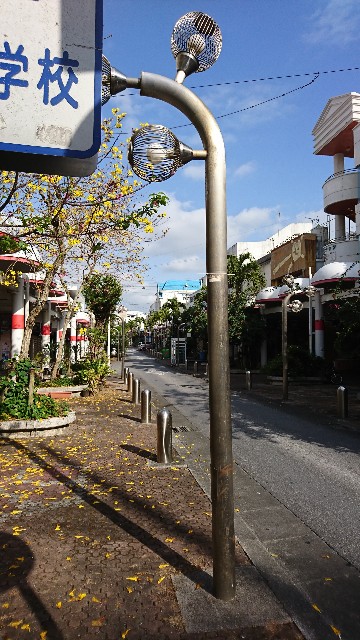 f:id:fujiyo311:20200311163748j:image