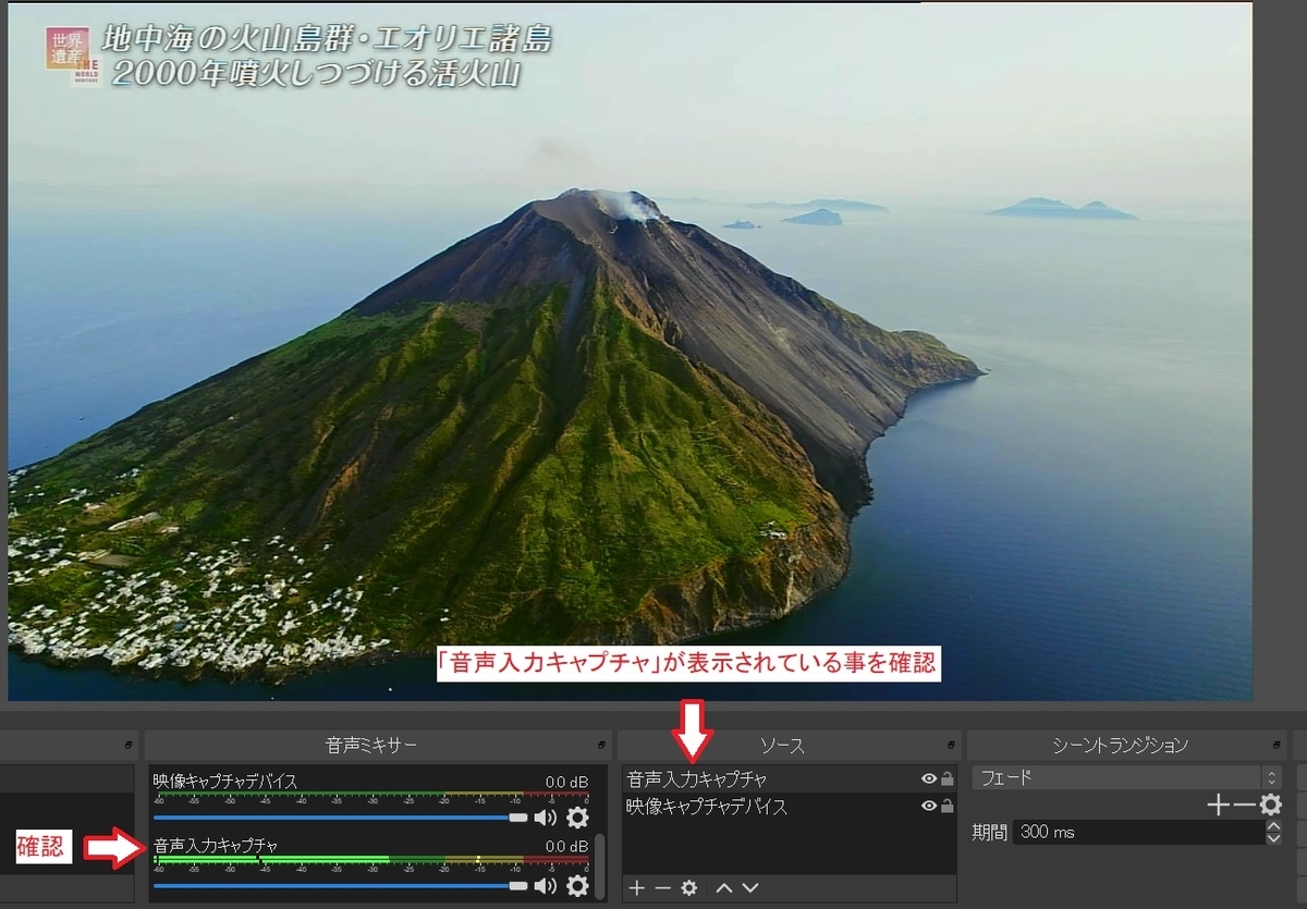 f:id:fukachuu19:20211119101218j:plain