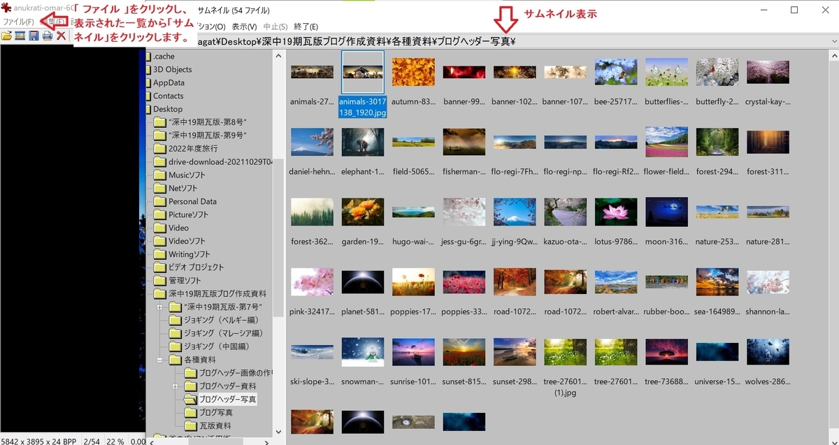 f:id:fukachuu19:20211202214733j:plain