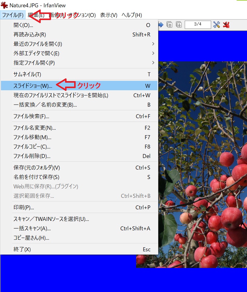 f:id:fukachuu19:20211204181614j:plain