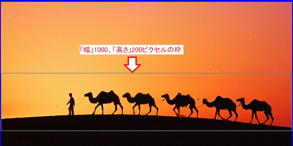 f:id:fukachuu19:20211210173148j:plain