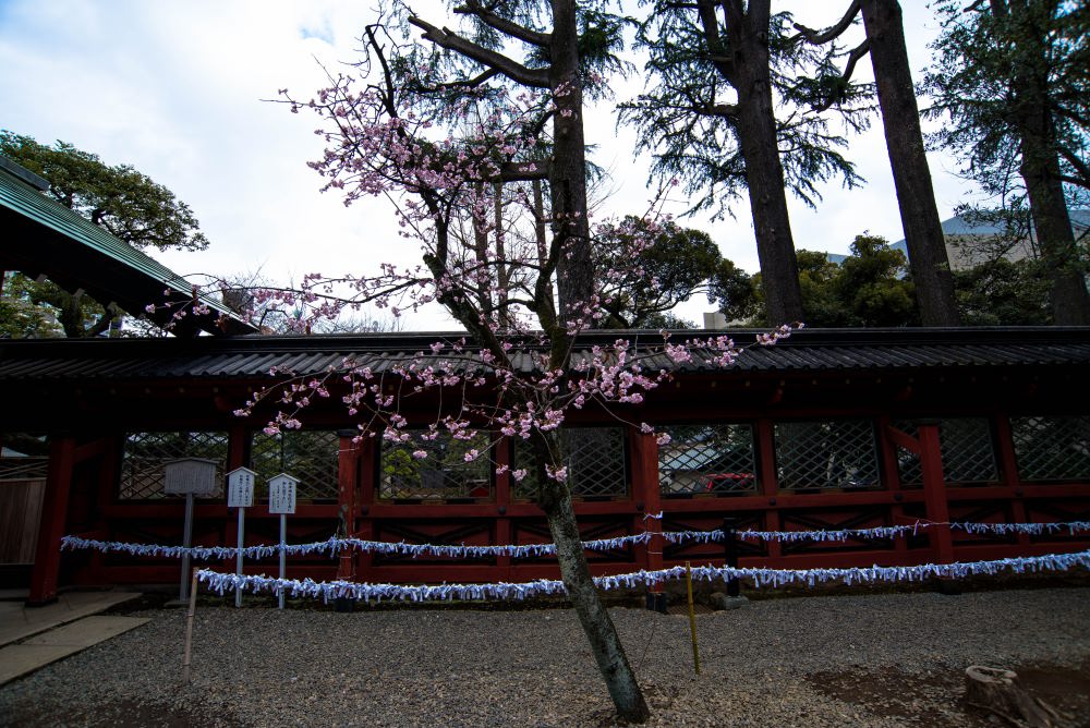 f:id:fukagawa1953:20180311190224j:plain f:id:fukagawa1953:20180311190224j:plain