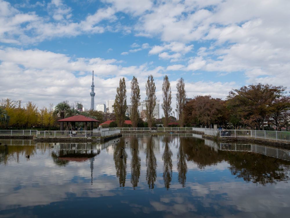 f:id:fukagawa1953:20181121060359j:plain