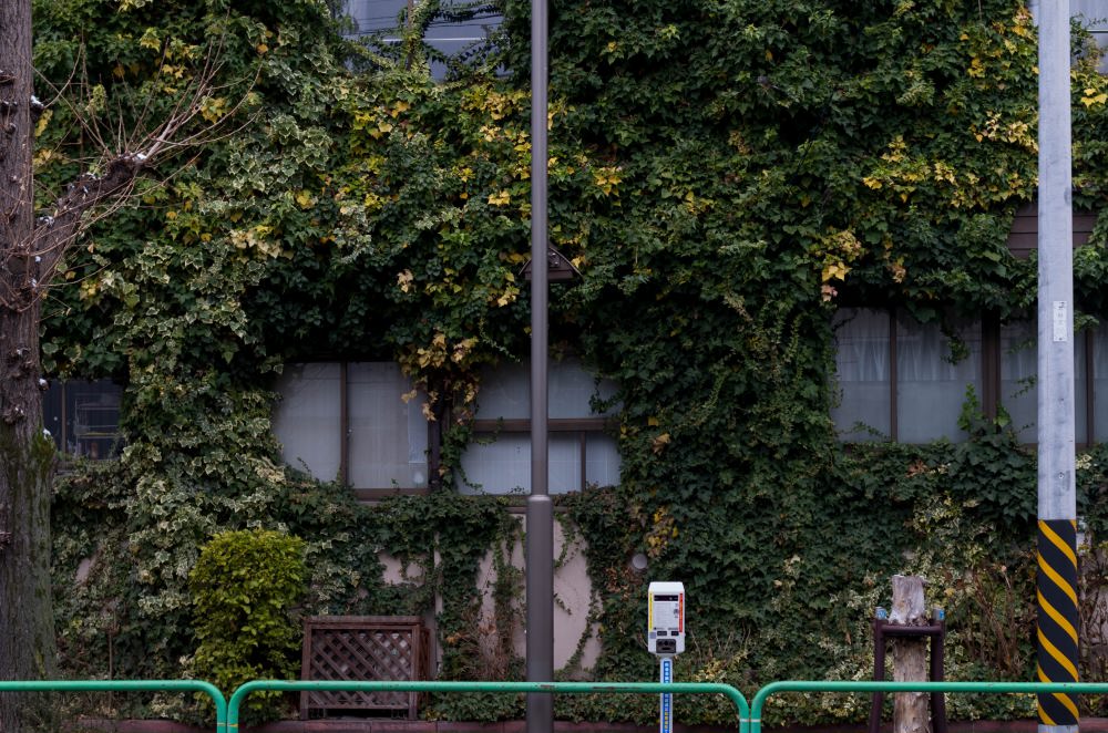 f:id:fukagawa1953:20190210203546j:plain f:id:fukagawa1953:20190210203546j:plain