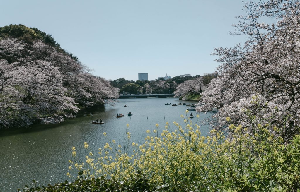 f:id:fukagawa1953:20190402153619j:plain