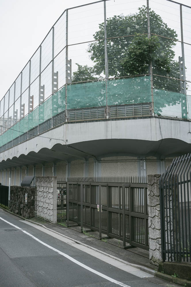 f:id:fukagawa1953:20200730195145j:plain
