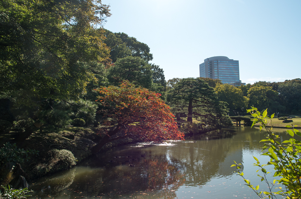 f:id:fukagawa1953:20201105135359j:plain