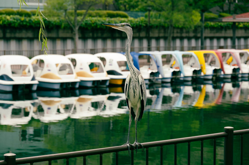 f:id:fukagawa1953:20210824100925j:plain