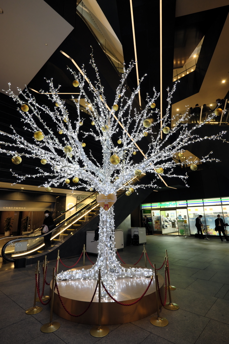 f:id:fukagawa1953:20211222170901j:plain