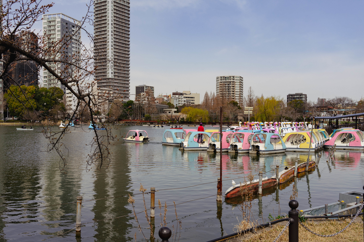 f:id:fukagawa1953:20220320072149j:plain