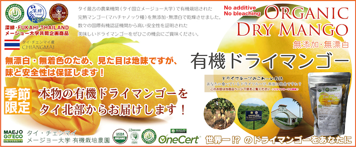 f:id:fukahiasia:20191223145159j:plain f:id:fukahiasia:20191223145159j:plain