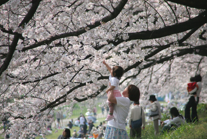 f:id:fukai5155:20090514113806j:image:w450 f:id:fukai5155:20090514113806j:image:w450