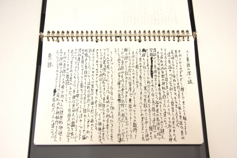 f:id:fukaihanashi:20131122192111j:plain