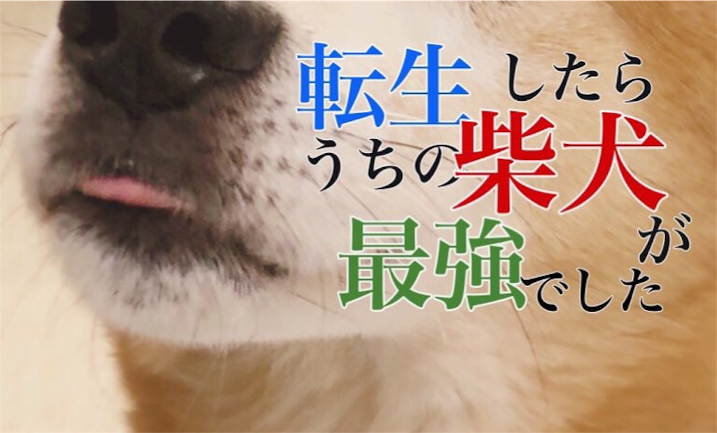 f:id:fukamiei:20180529145520j:image
