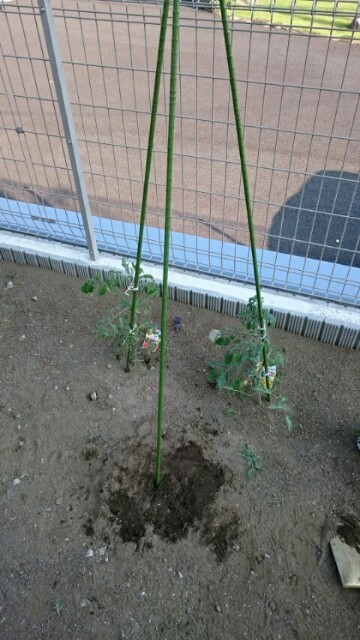 f:id:fukamiruli:20170519194958j:image f:id:fukamiruli:20170519194958j:image