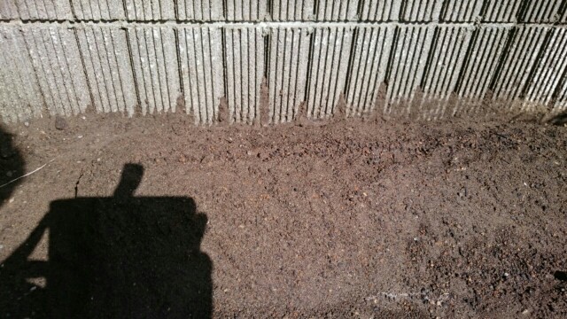 f:id:fukamiruli:20170902233212j:image f:id:fukamiruli:20170902233212j:image