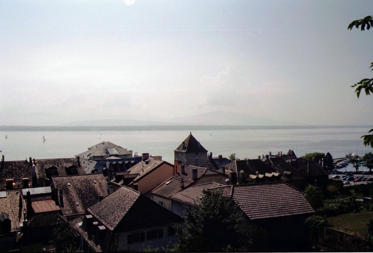 f:id:fukarinka:20200405113254j:plain f:id:fukarinka:20200405113254j:plain