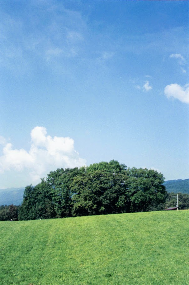 f:id:fukarinka:20200405113853j:plain
