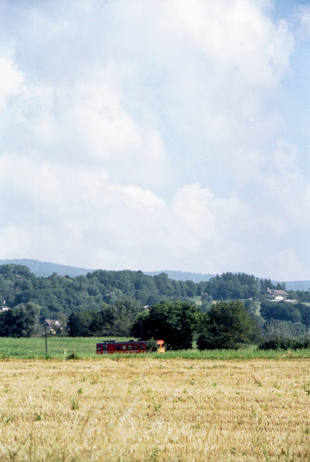 f:id:fukarinka:20200405113929j:plain