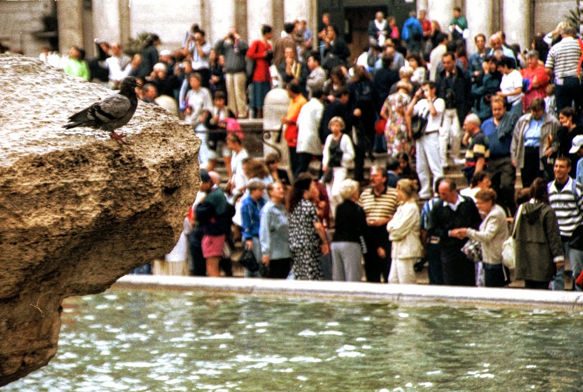 トレヴィの泉 - cafe mare nostrum