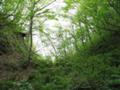 雄勝峠切り通し