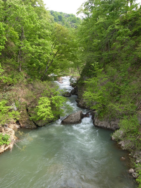 石抱温泉に向かう橋から見る銅山川の図