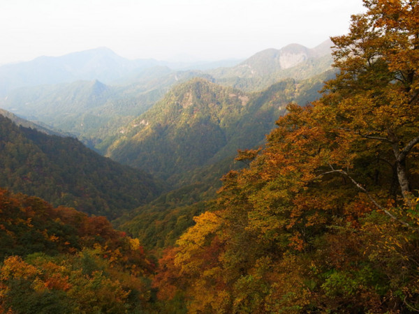 色づく二口山塊の図