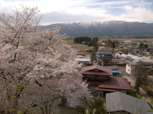 殿入桜公園からの眺め