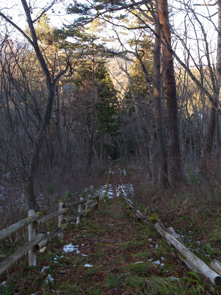 廃道化した自然歩道の図