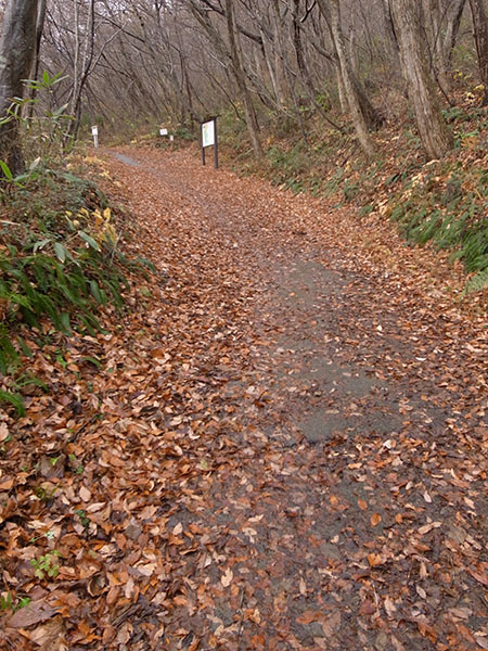 岩倉コース入り口の図