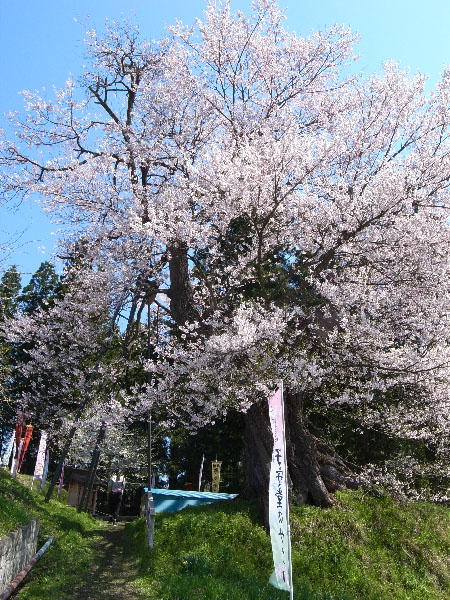 f:id:fukenko:20170424101957j:plain