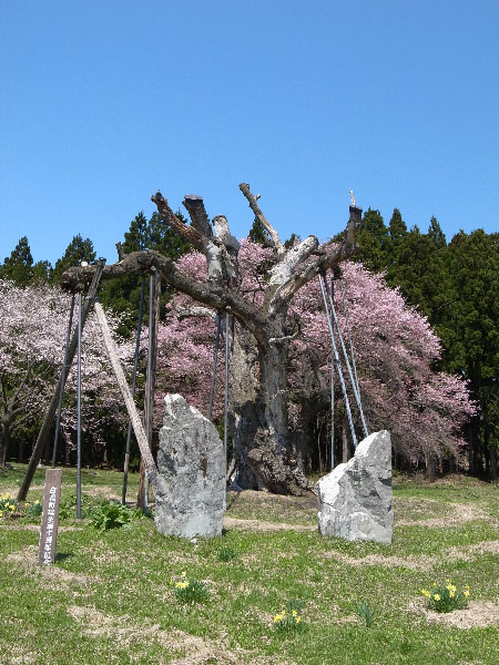 f:id:fukenko:20170424105127j:plain