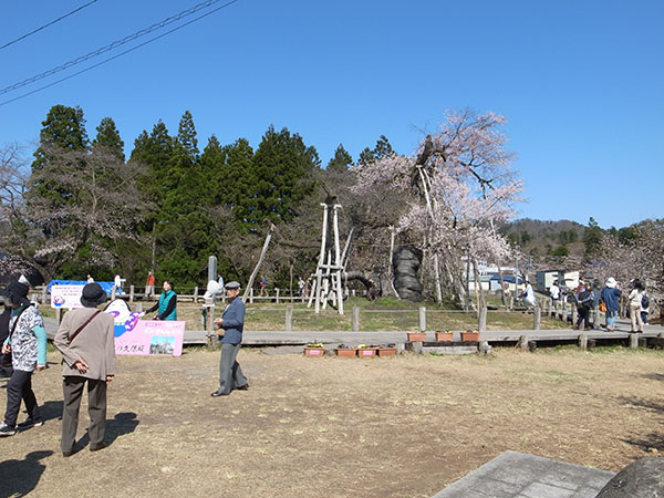 f:id:fukenko:20170424141527j:plain
