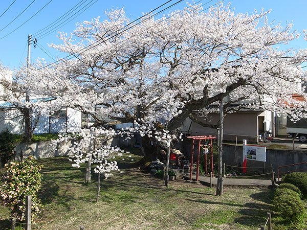 f:id:fukenko:20170424152245j:plain