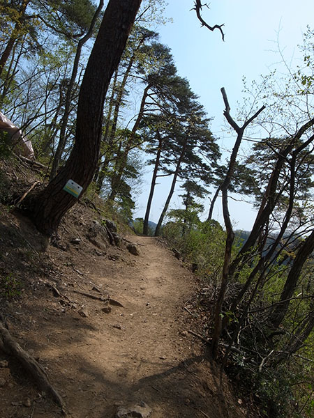 千歳山登山道の図