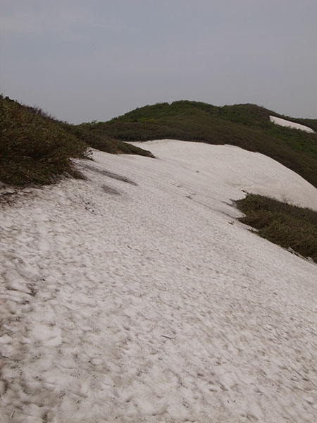 山頂前残雪地帯