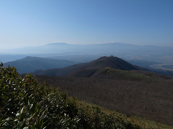 稜線手前のおなじみの光景