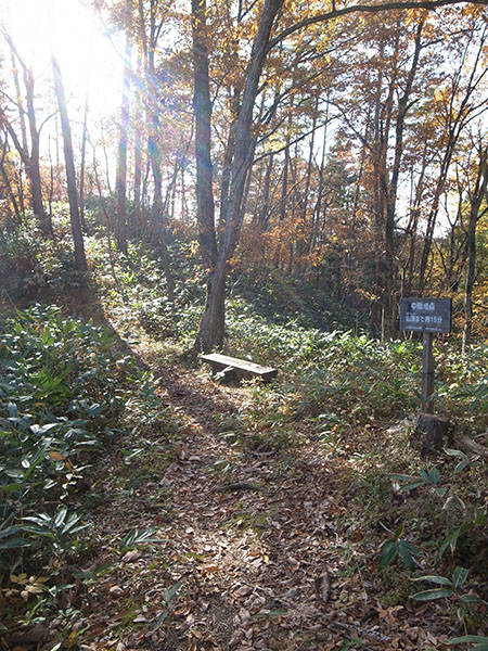 f:id:fukenko:20171113130054j:plain