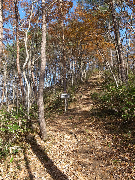 f:id:fukenko:20171113130727j:plain