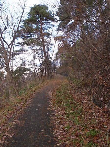 若木山の遊歩道