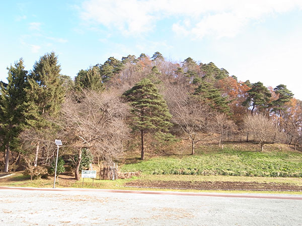 若木山全景