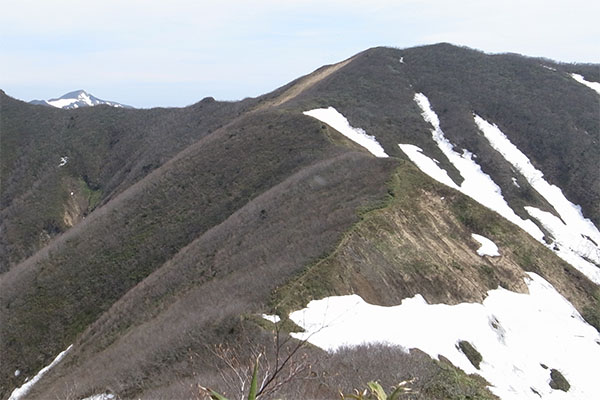 槍ヶ先付近から大尺山を眺めたところ