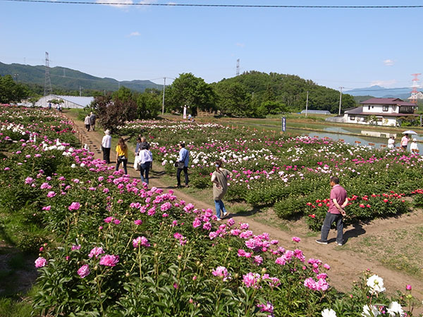 見物客もけっこう多かった