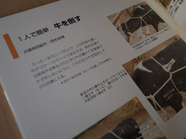 f:id:fukenko:20180902172240j:plain