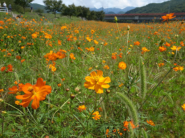 f:id:fukenko:20180914114652j:plain f:id:fukenko:20180914114652j:plain