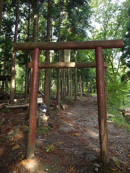ここから登ってきます