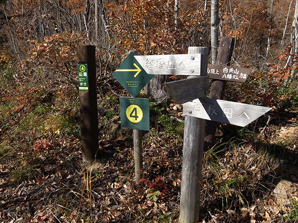 f:id:fukenko:20181114115004j:plain